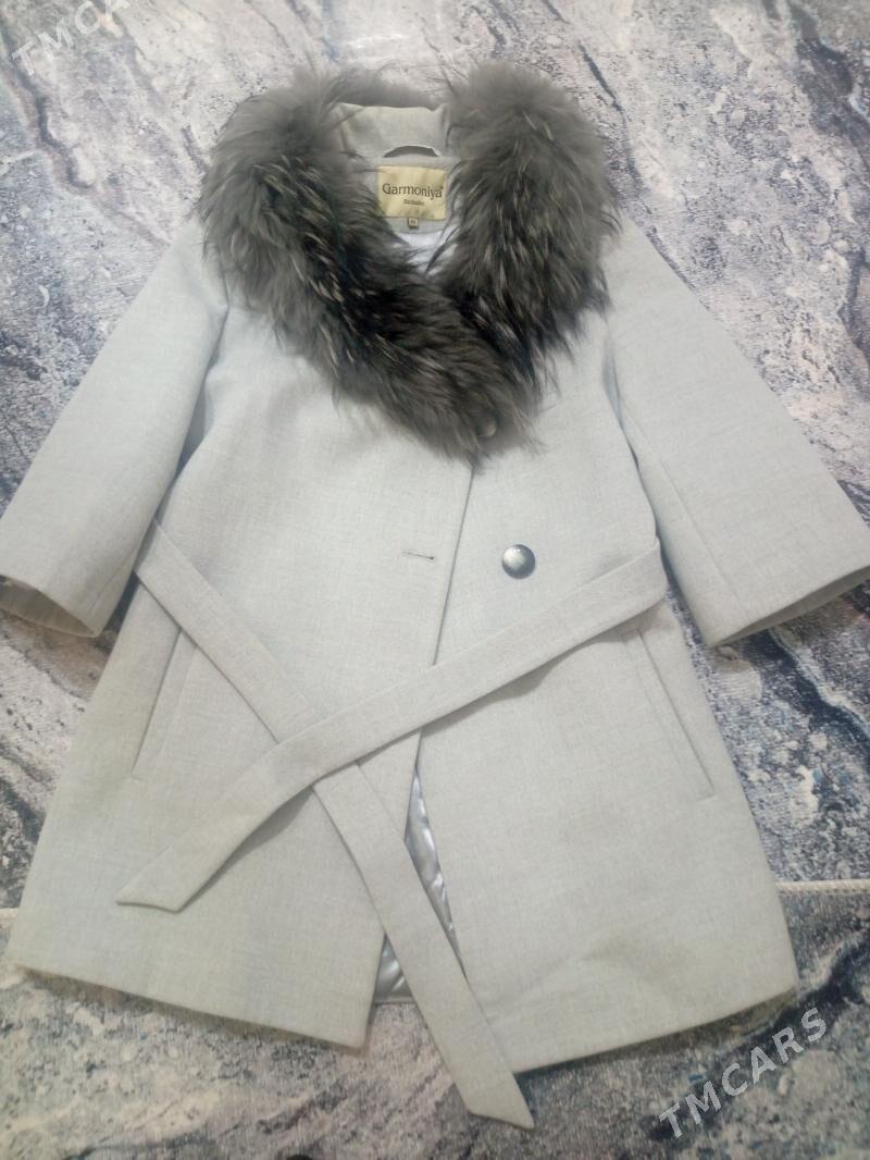 Arginal meh Palto - Parahat 8 - img 1