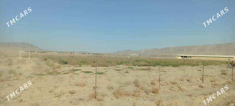 Ekin yer - Гызыларбат - img 2