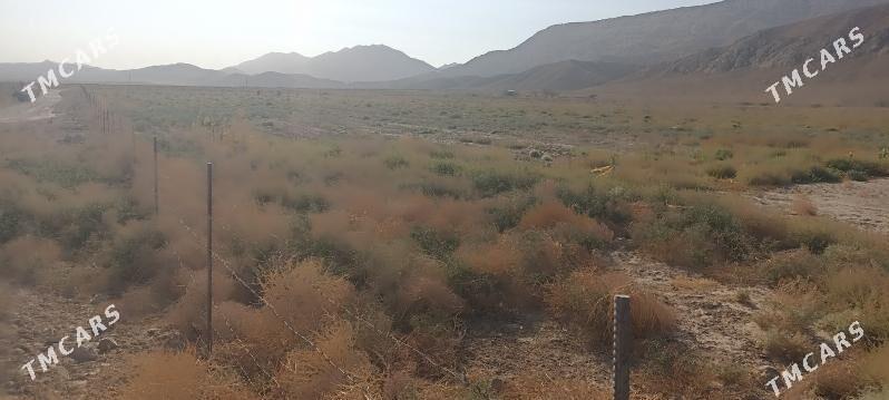 Ekin yer - Гызыларбат - img 1