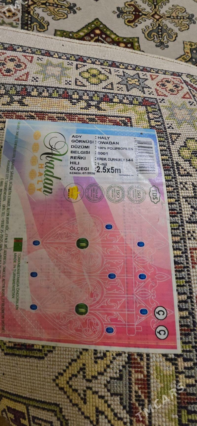 haly - Gurtly - img 2