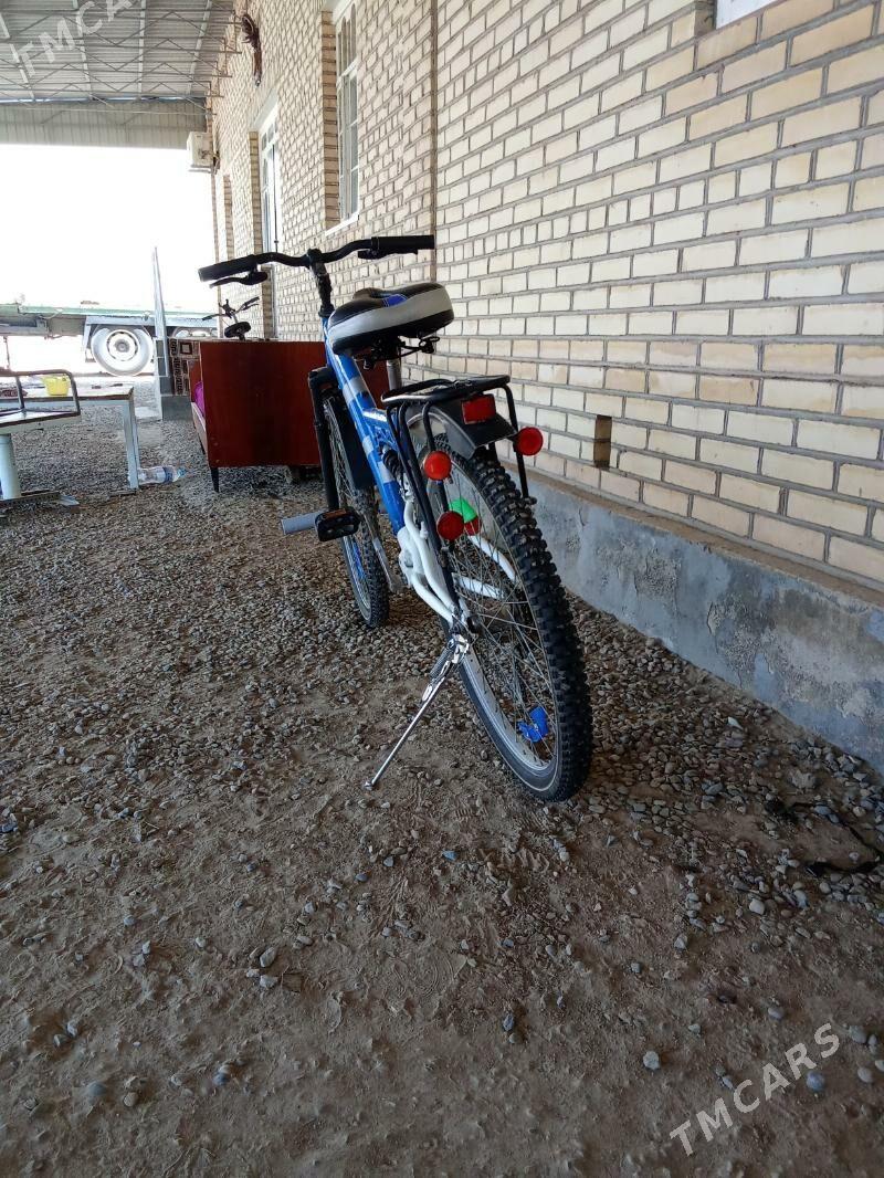 Tigir - Мургап - img 4