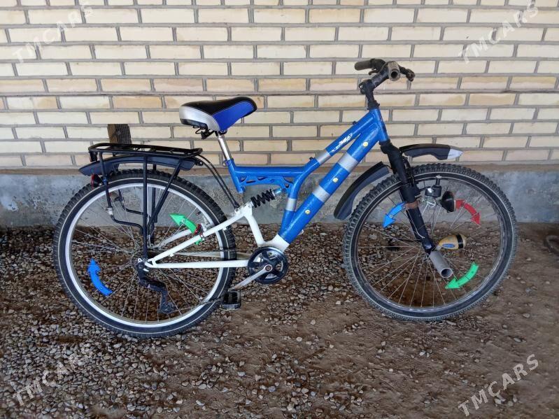 Tigir - Мургап - img 5