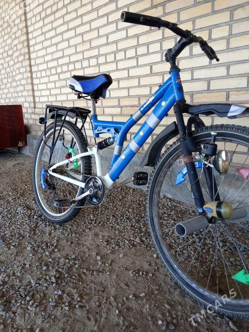 Tigir - Мургап - img 6