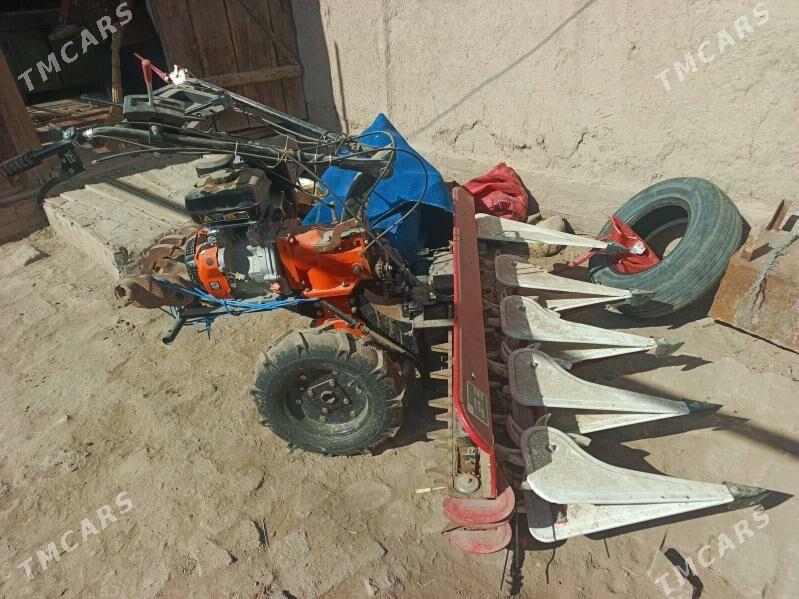 Mtz mini - Görogly (Tagta) - img 3