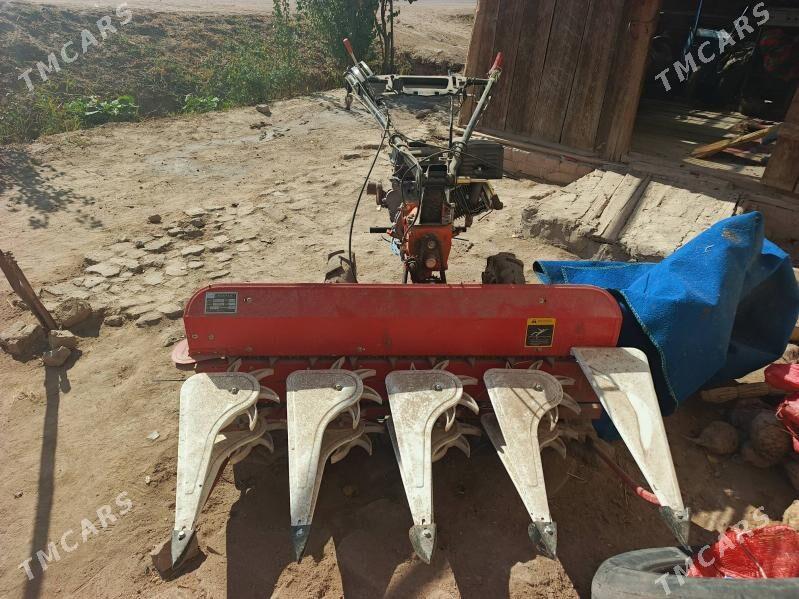 Mtz mini - Görogly (Tagta) - img 4