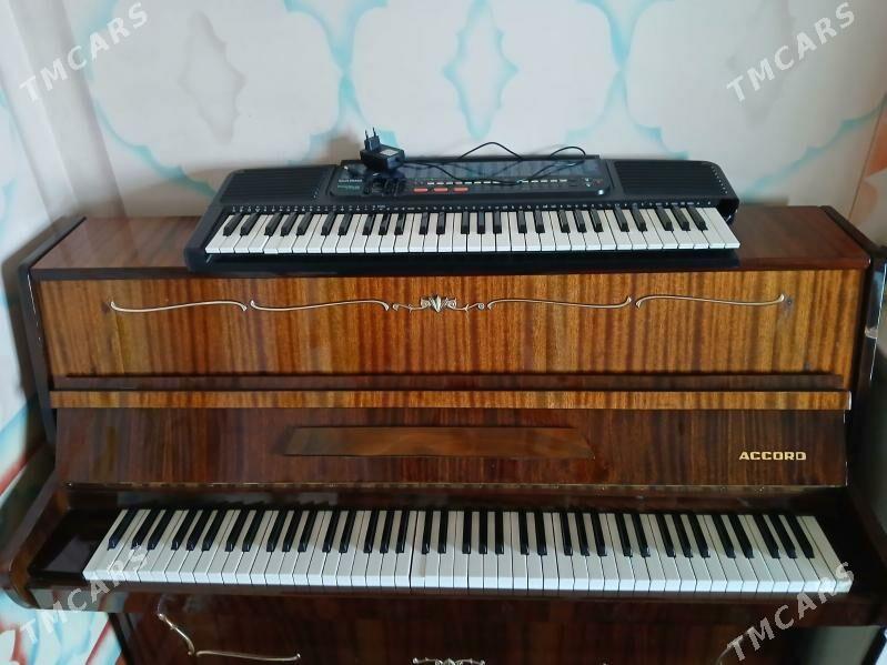 pianono - Чоганлы - img 1