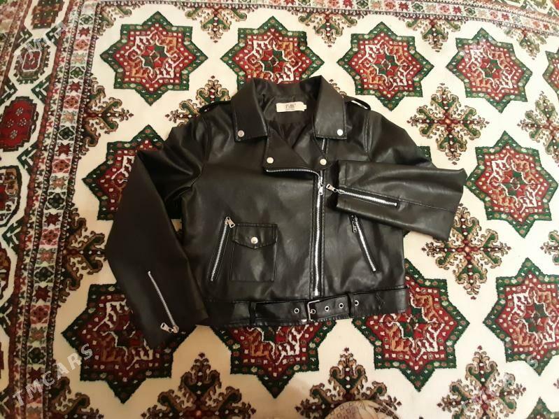 Kurtkalar - Daşoguz - img 6