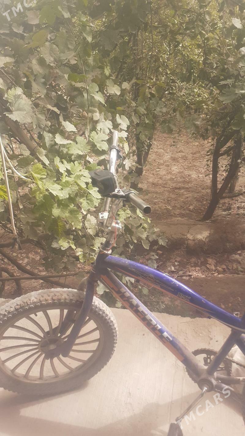 JIAERLE - Görogly (Tagta) - img 9