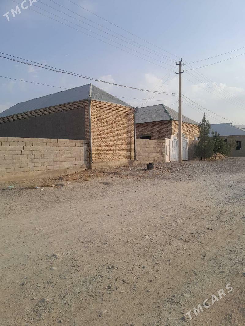 jay - Bäherden - img 2