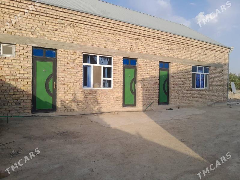 jay - Bäherden - img 1