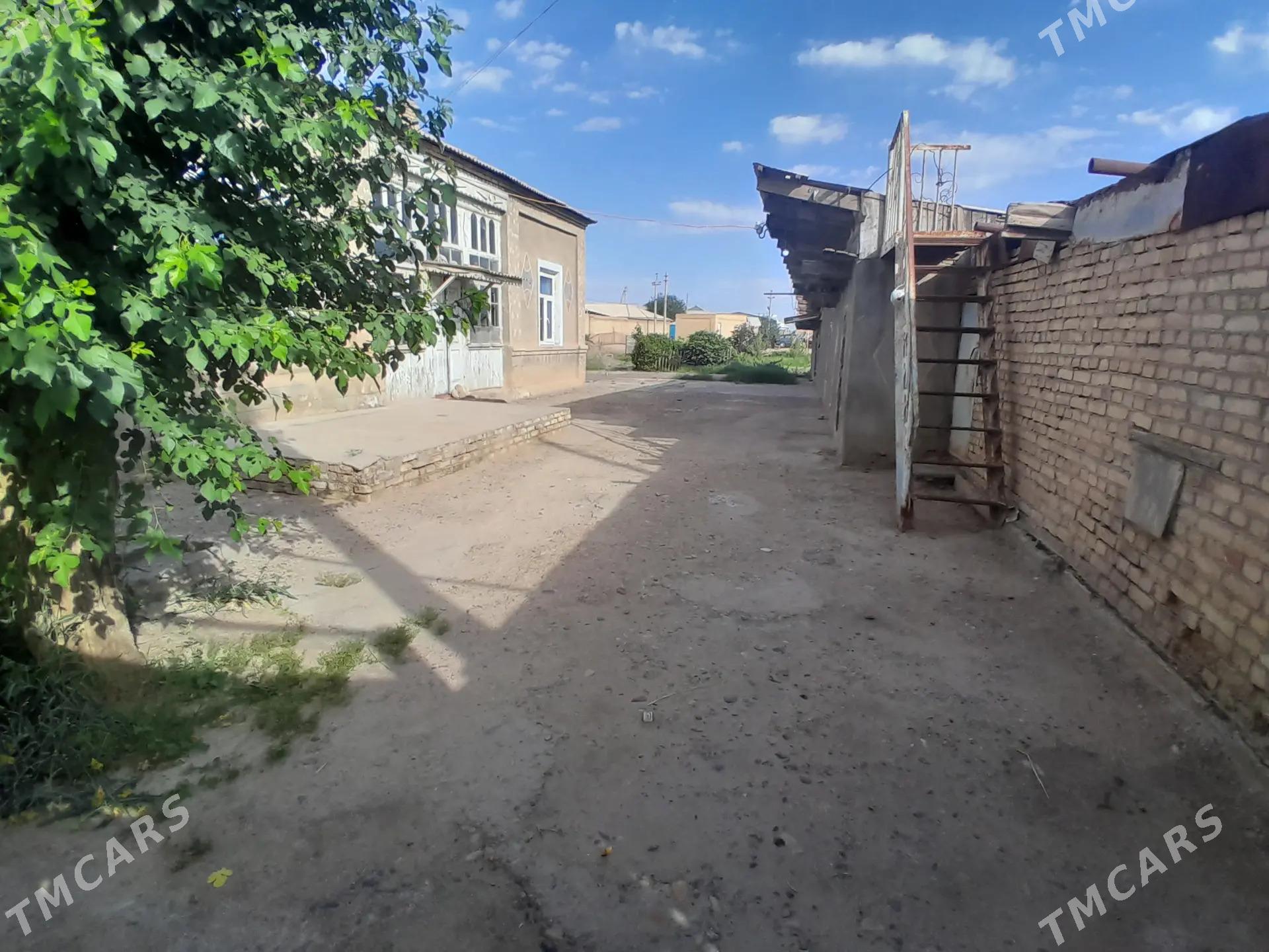 satlyk jay - Мары - img 3