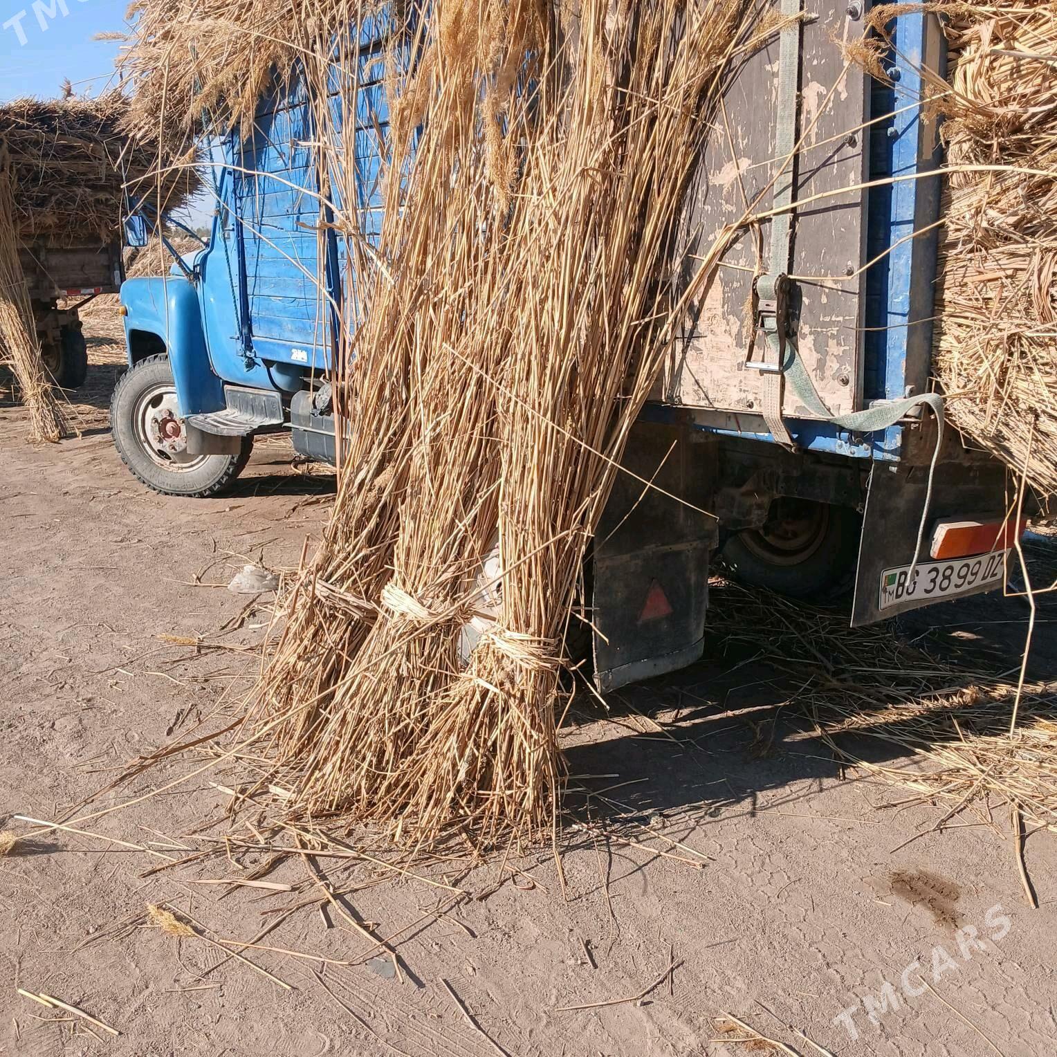 gamys - Дашогуз - img 1