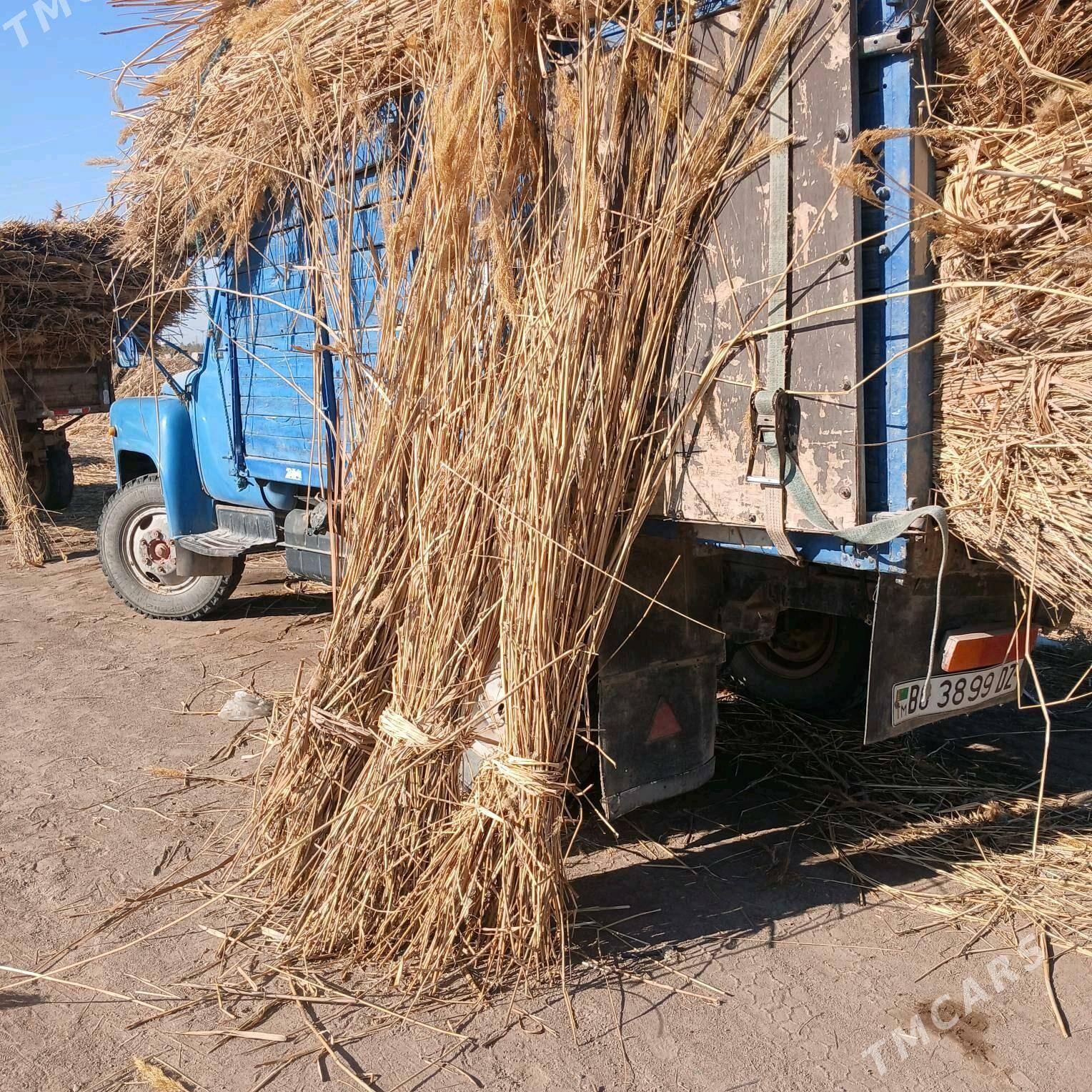 gamys - Дашогуз - img 3