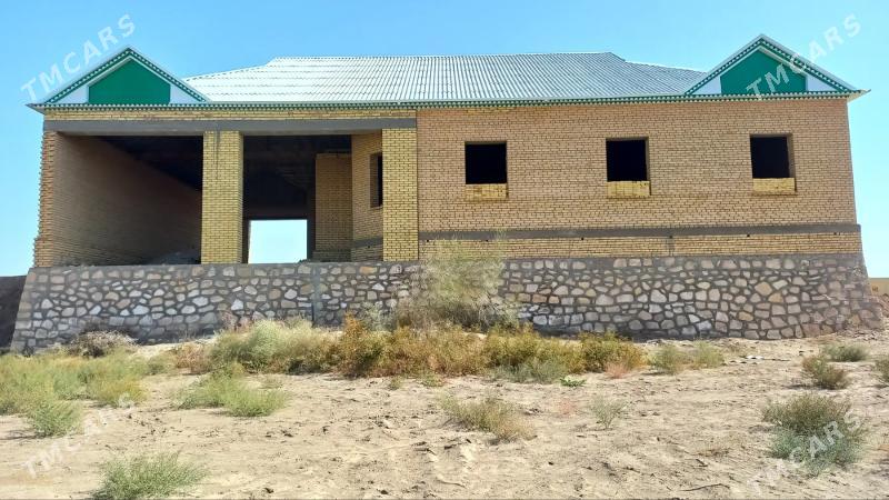 satlyk jay - Kerki - img 2