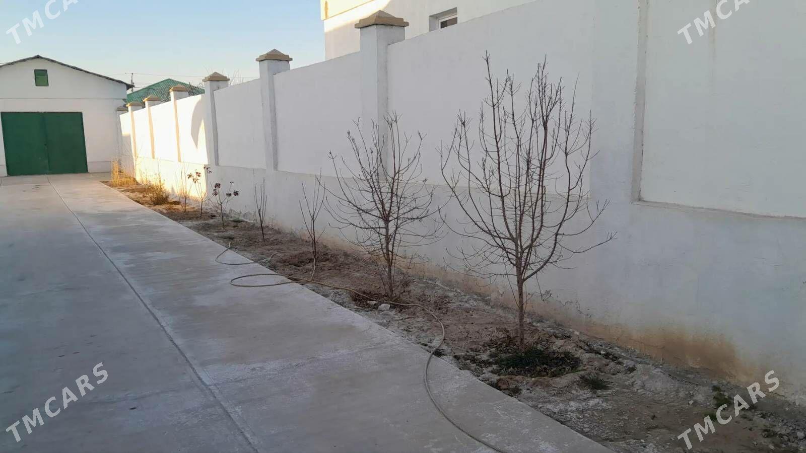 ipoteka - Balkanabat - img 4