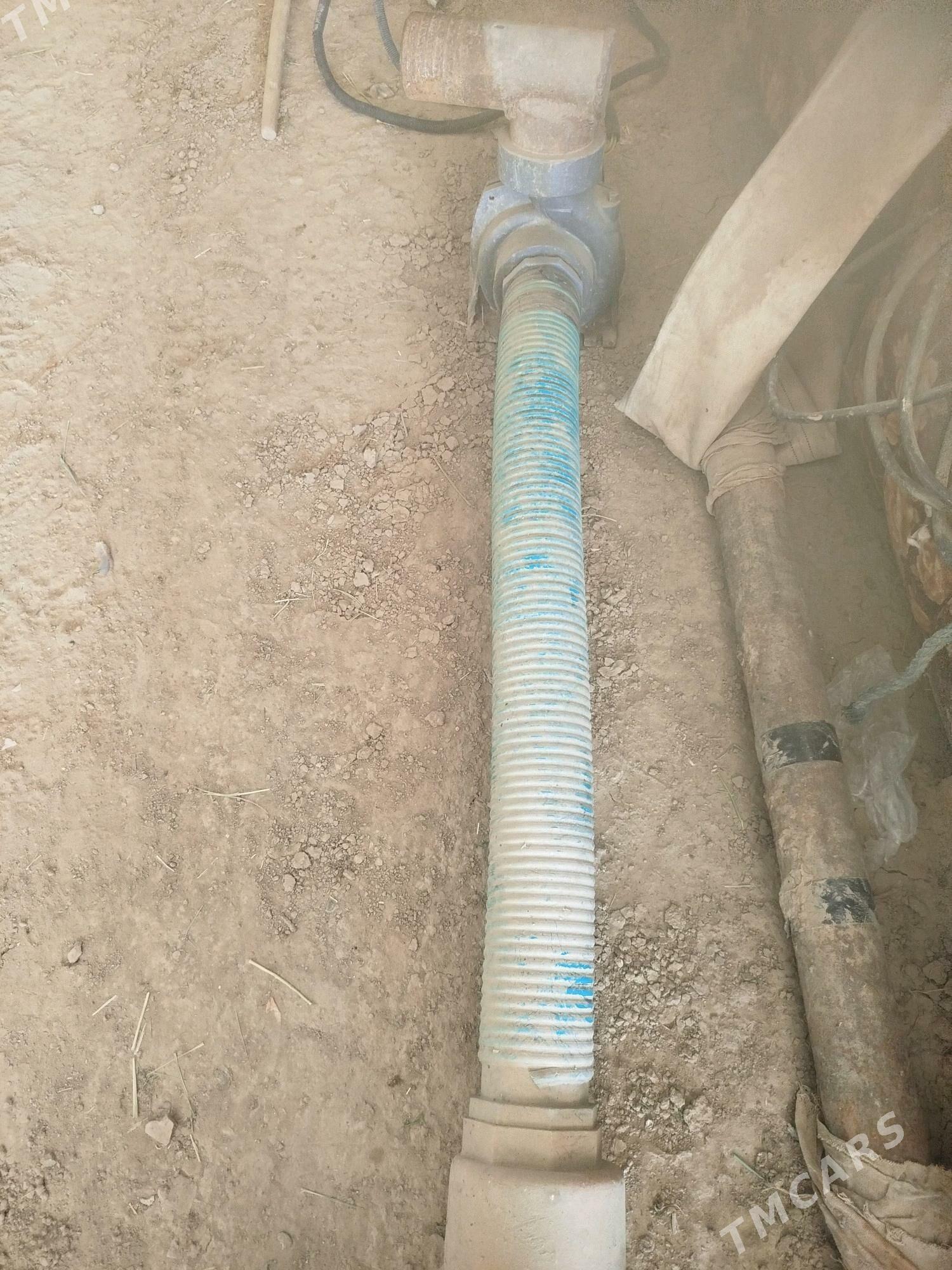 nasos suw - Мургап - img 4