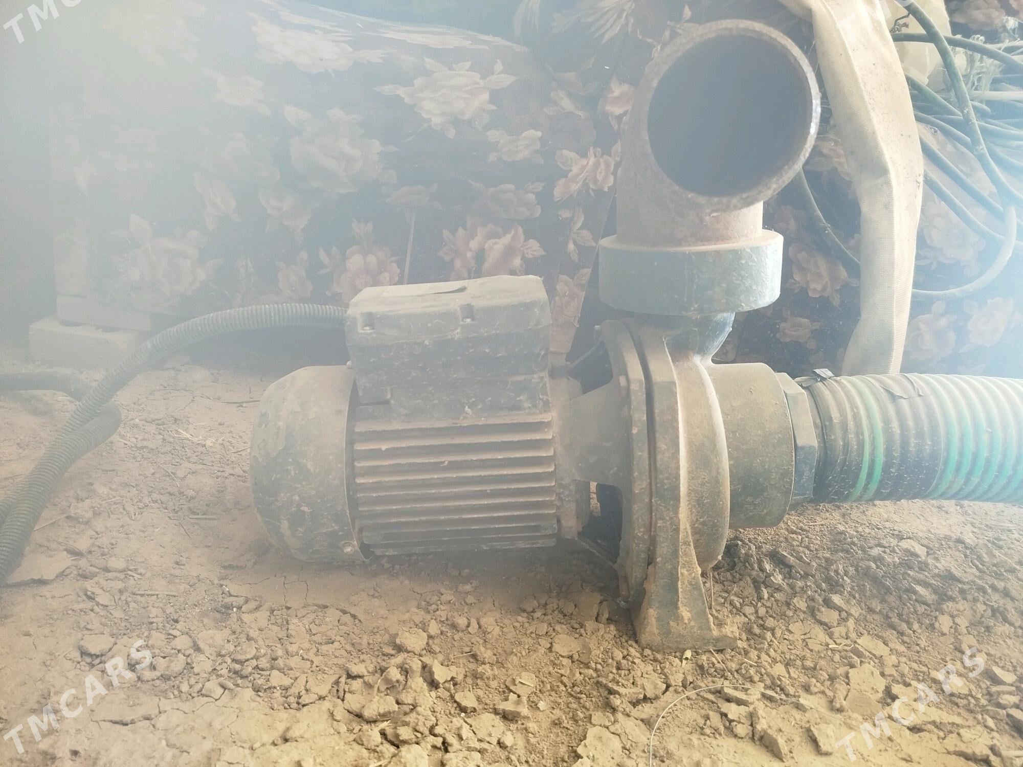 nasos suw - Мургап - img 2