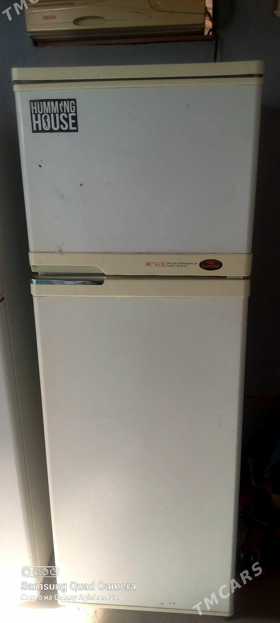 Holodilnik - Herrikgala - img 2