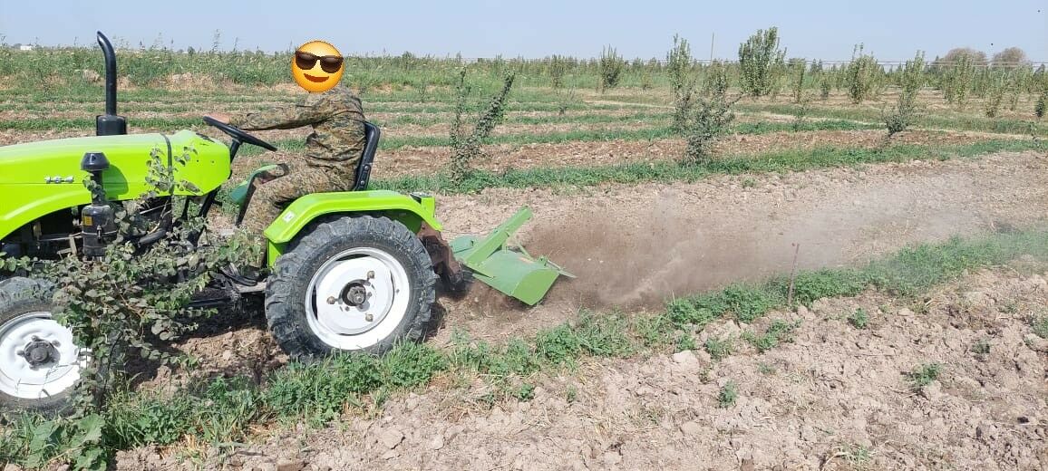 MTZ T-28 2025 - 55 000 TMT - Мары - img 2