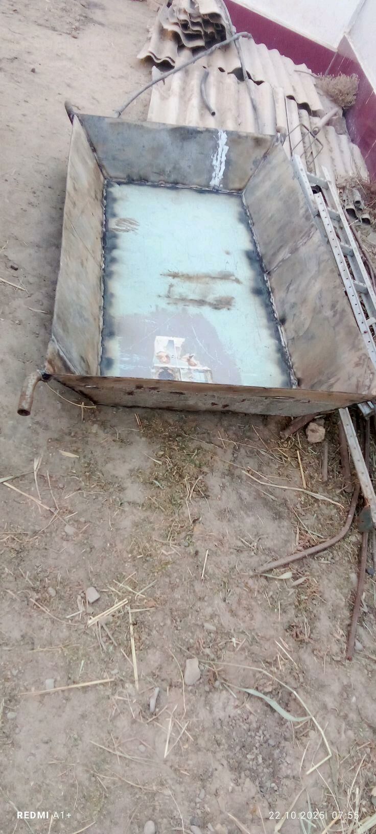 karyta.  карыто - Sakarçäge - img 3