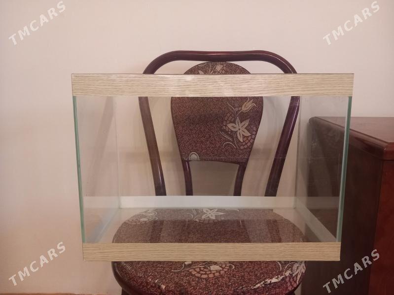 akwarium - Bagyr - img 2