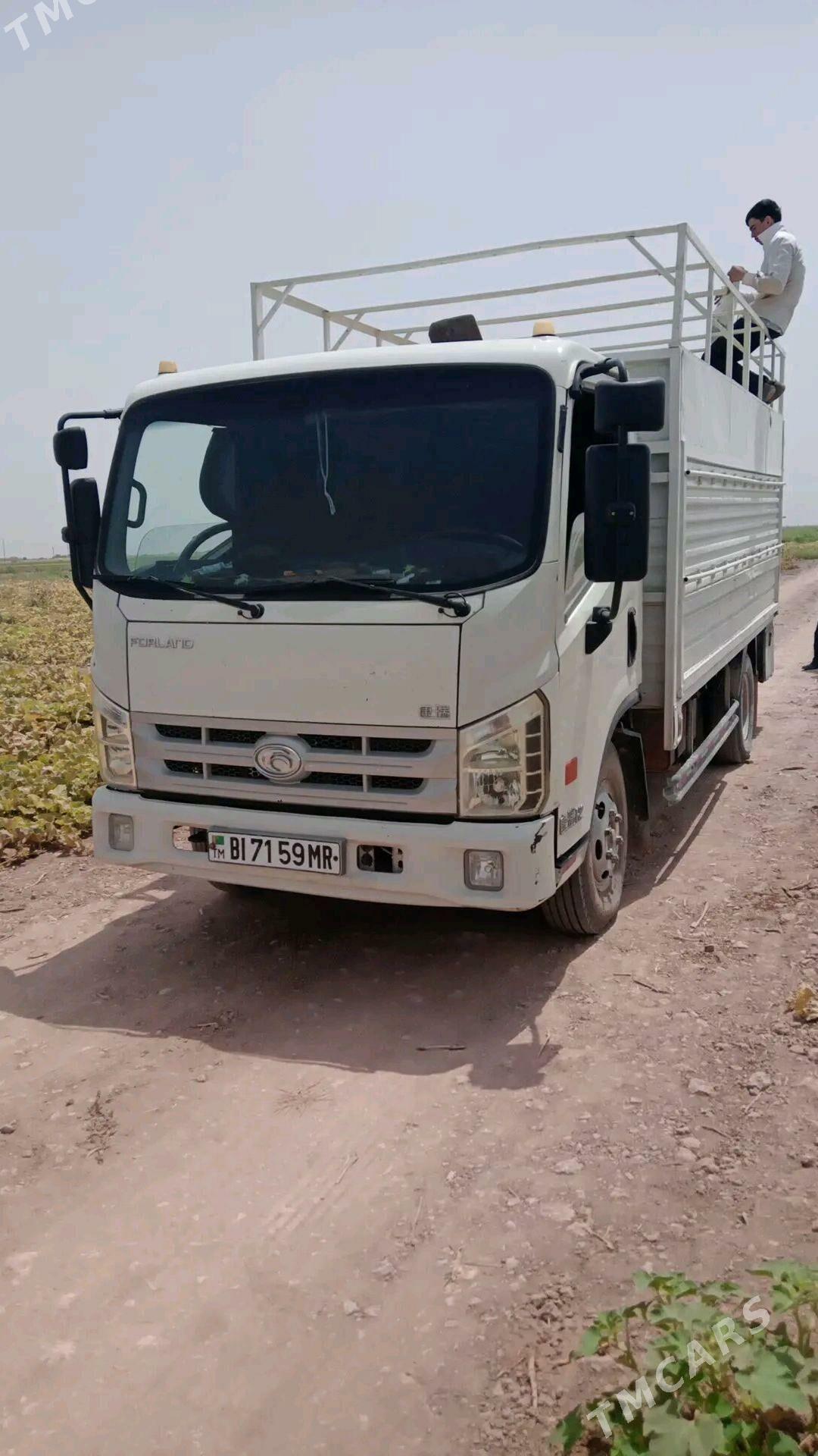 Forland H2 2015 - 220 000 TMT - Мургап - img 2