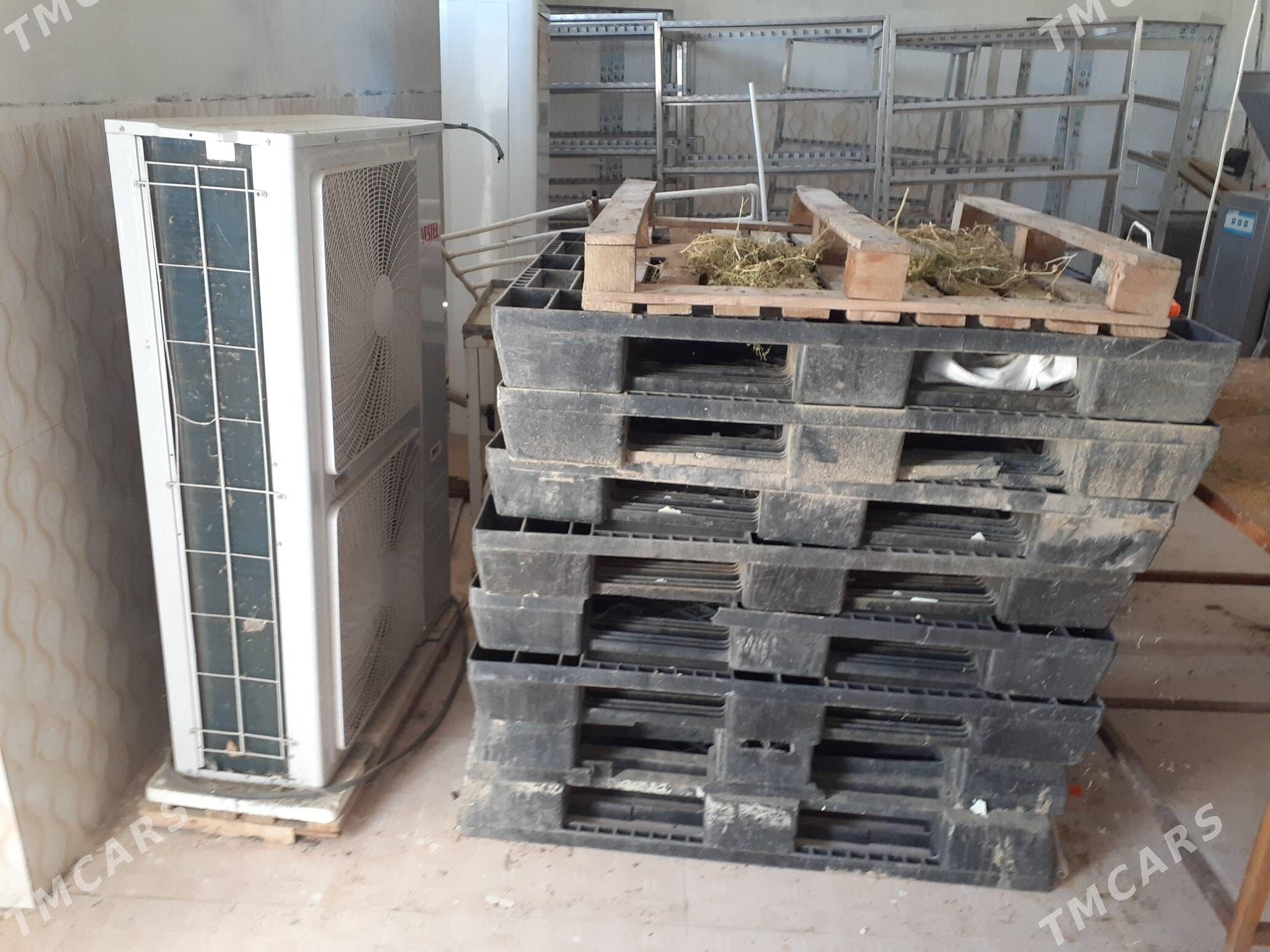 kalbasny seh +dowletnama. - Bäherden - img 5