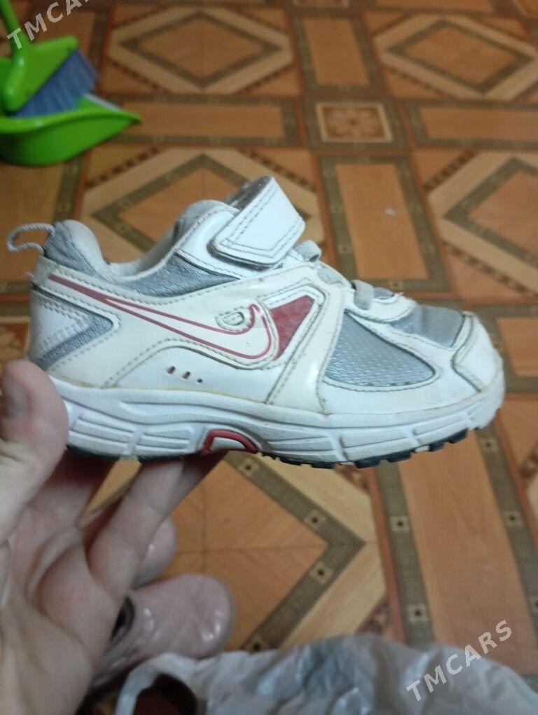 krasowka - Арзув - img 2