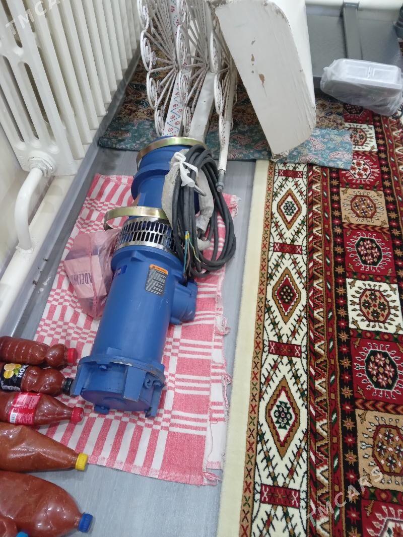 ekin ucun - Бахарден - img 6