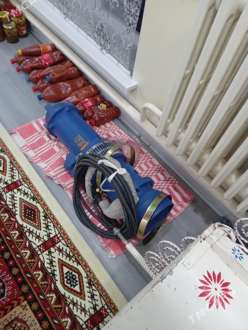 ekin ucun - Бахарден - img 7