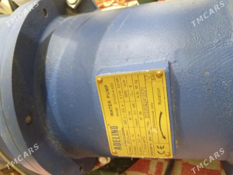 ekin ucun - Бахарден - img 1