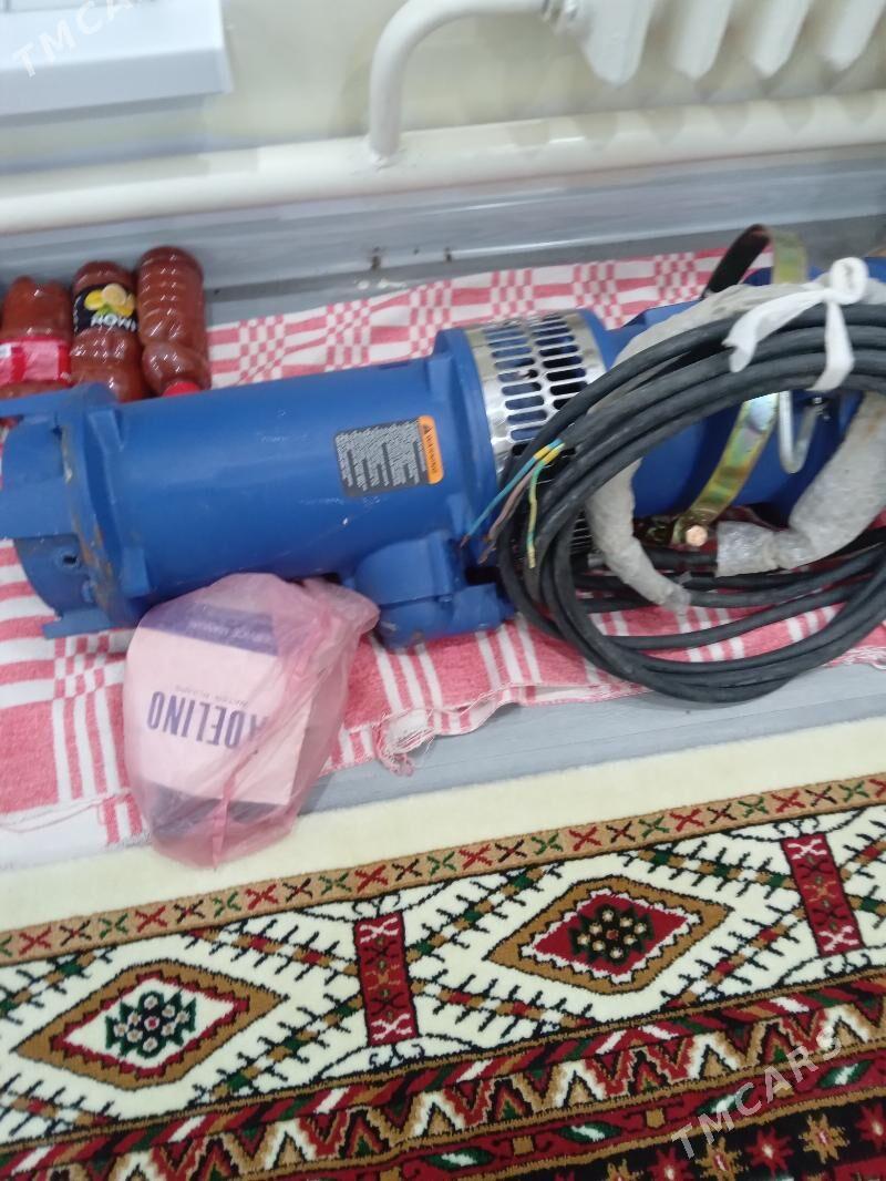 ekin ucun - Бахарден - img 2