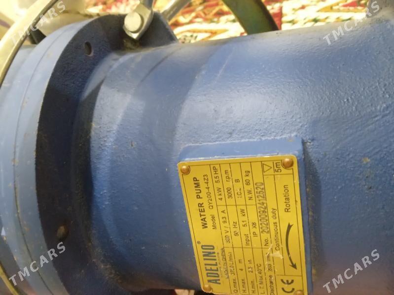 ekin ucun - Бахарден - img 4