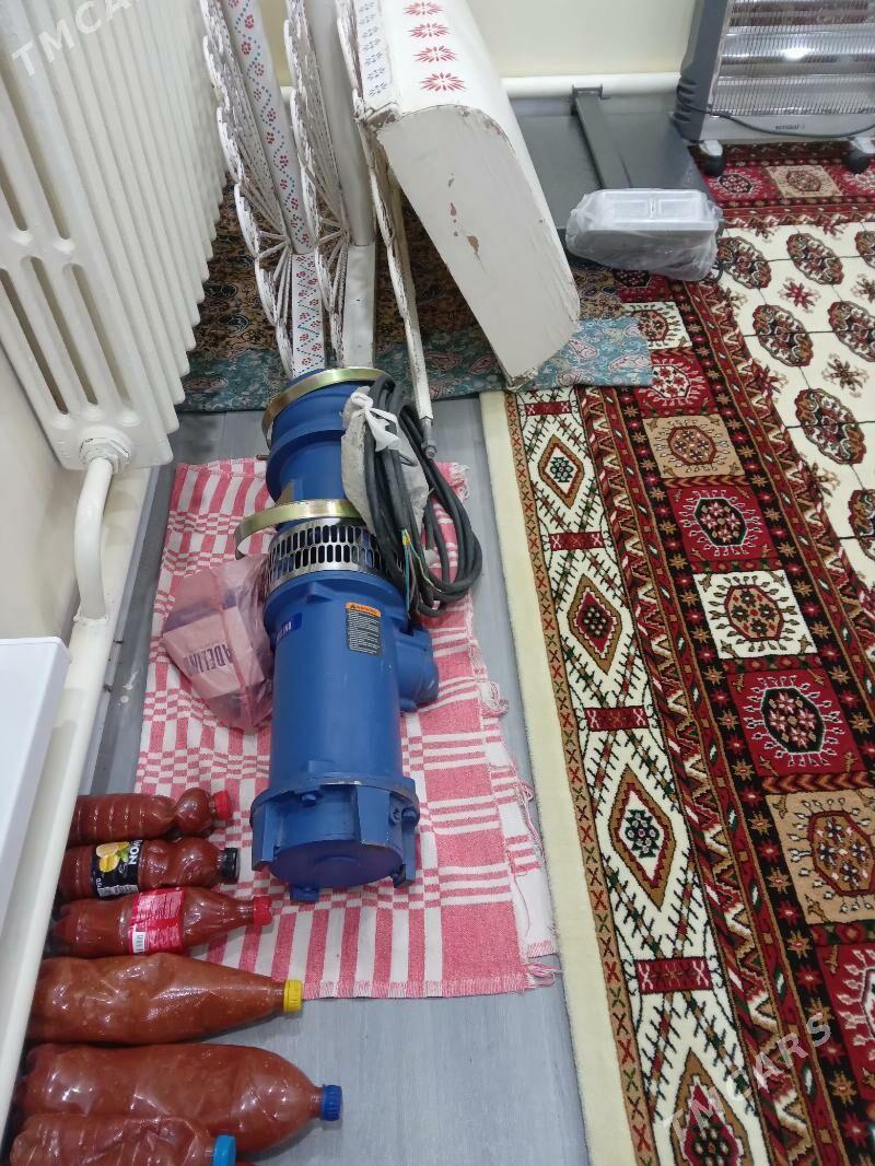 ekin ucun - Бахарден - img 9