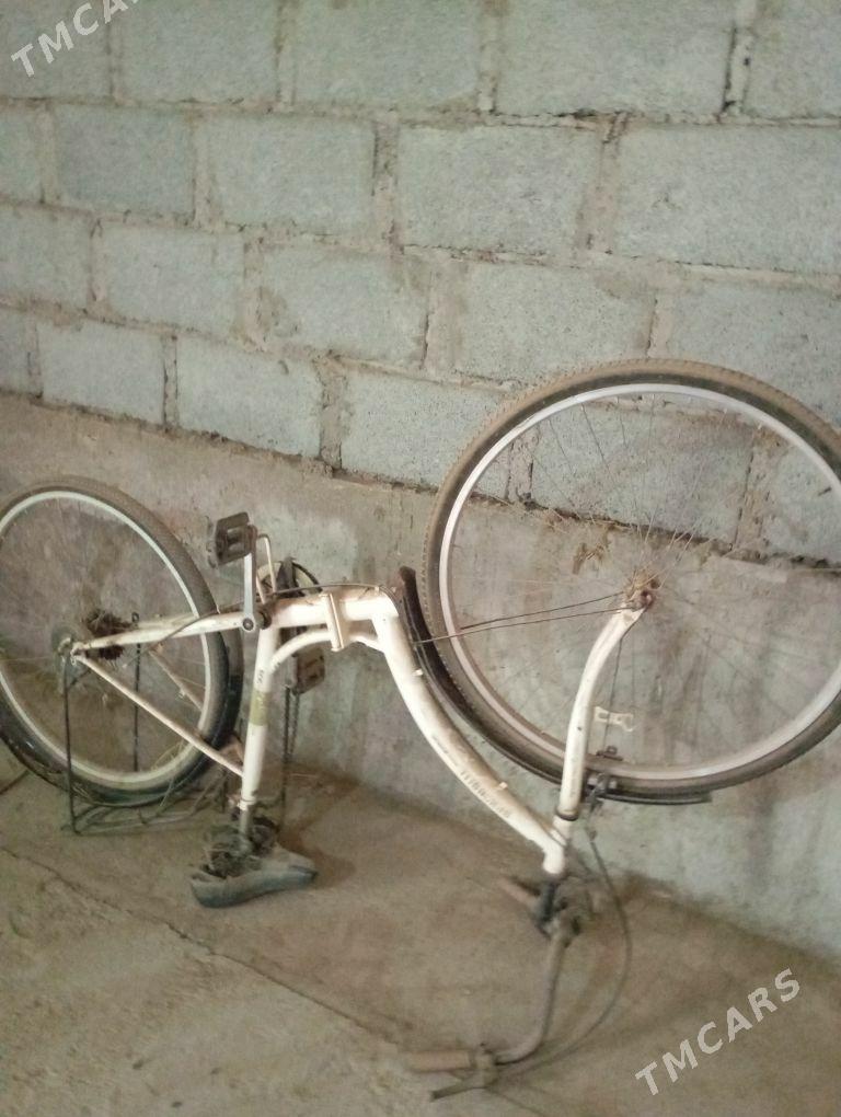 jeylik - Gumdag - img 3