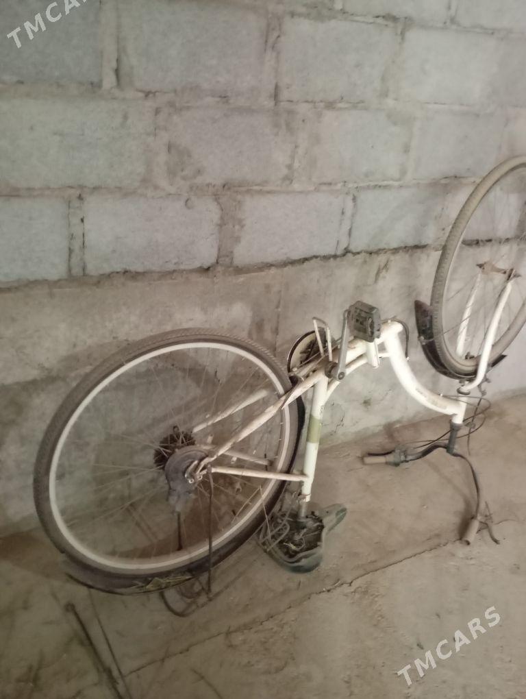 jeylik - Gumdag - img 2