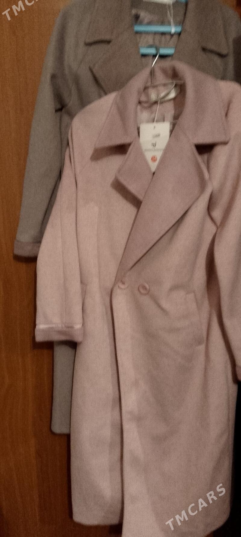 polto - Bedew - img 1