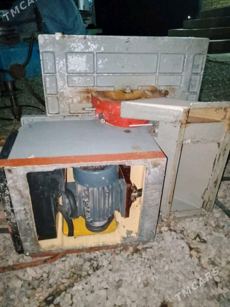 agac stanok - Sakarçäge - img 1