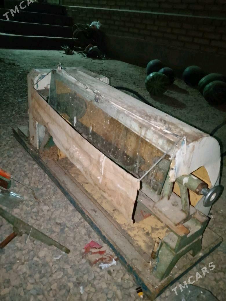 agac stanok - Sakarçäge - img 5