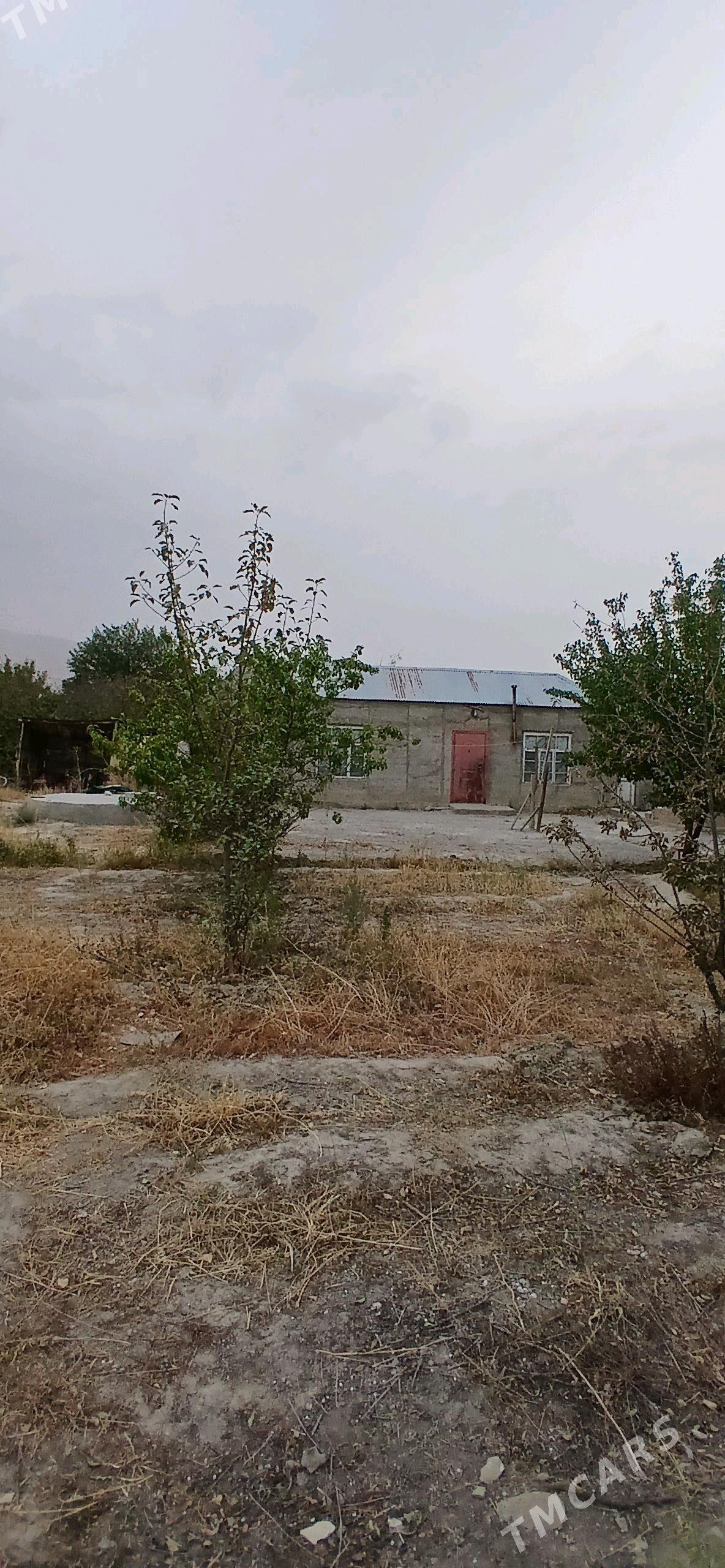 satlyk jay - Гёкдепе - img 3