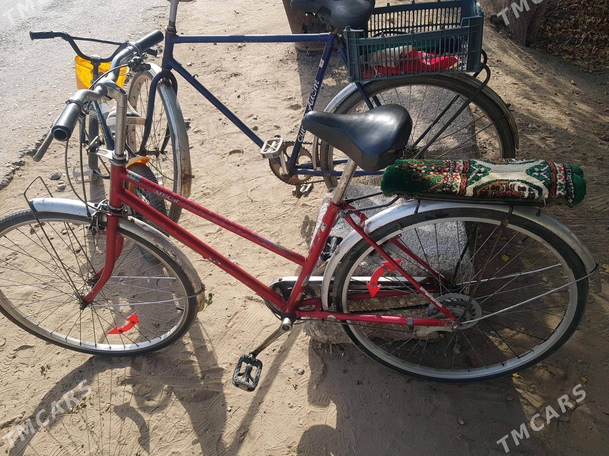 26&3skor - Mary - img 2