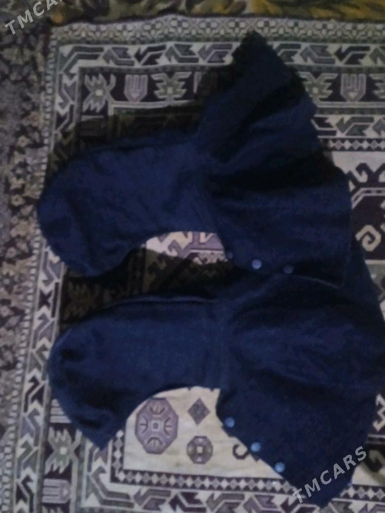 paçiwnik - Türkmenbaşy - img 1