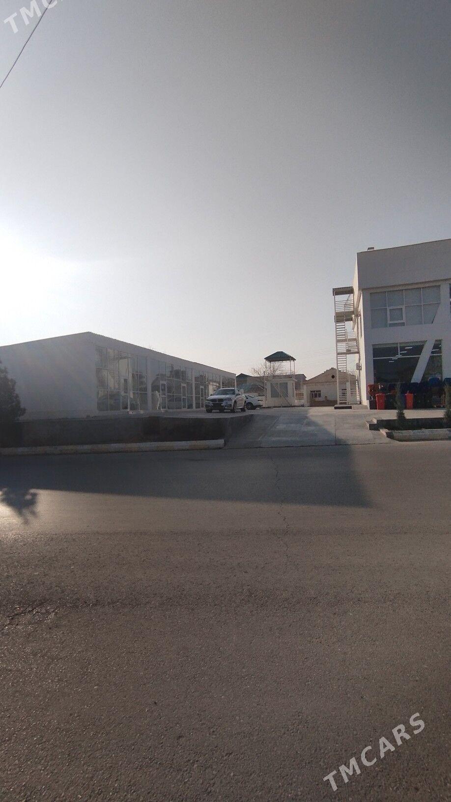 ARENDA MAGAZYN - Änew - img 4