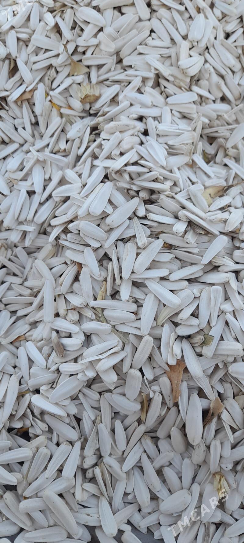 Gunebakar çigit 10 - Бабадайхан - img 4