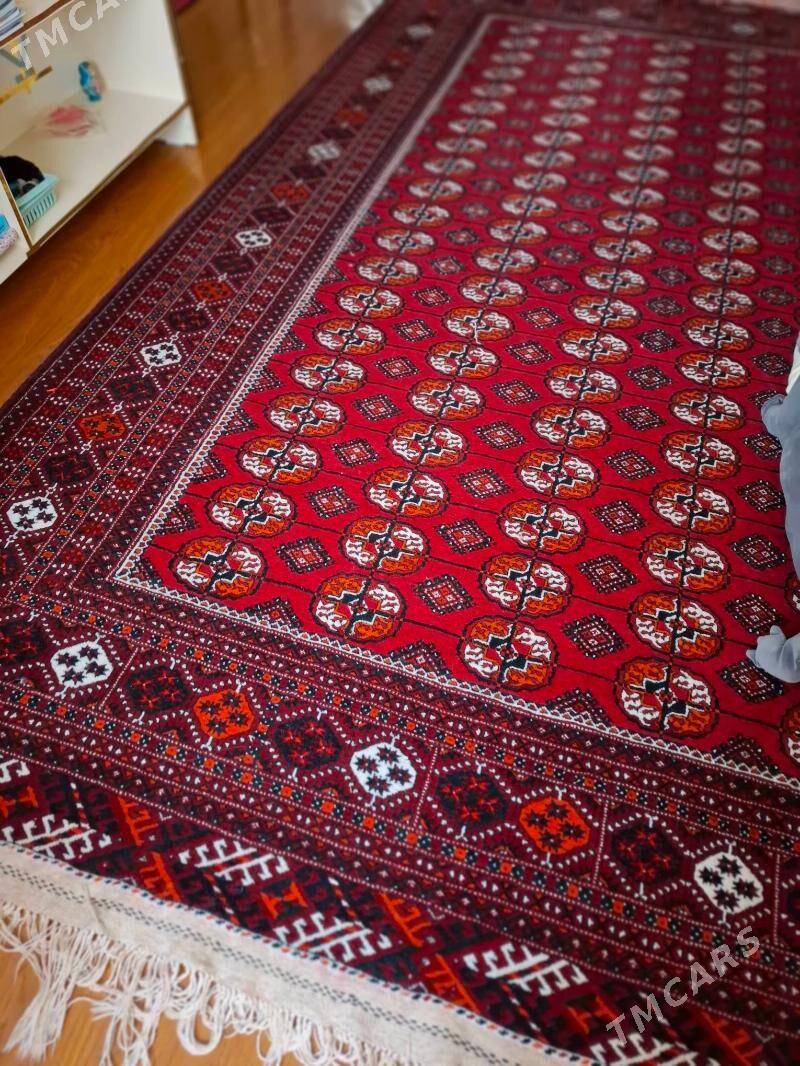 туркмен халы - Daşoguz - img 2