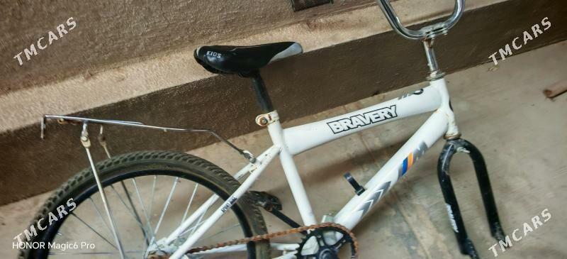 Braveri tigir - Чоганлы - img 2