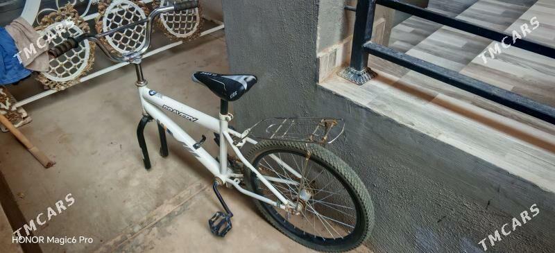 Braveri tigir - Чоганлы - img 5