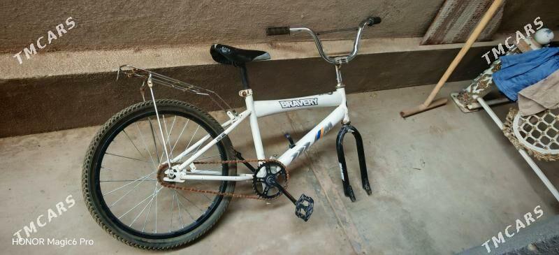 Braveri tigir - Чоганлы - img 4