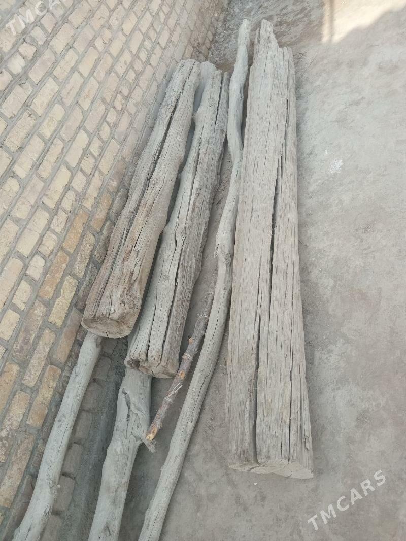 Agaç - Дашогуз - img 2