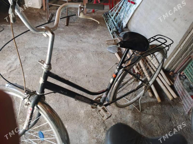 27 lik - Mary - img 2